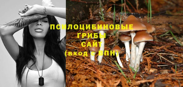 альфа пвп Михайлов