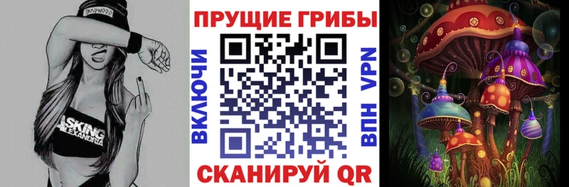 Псилоцибиновые грибы Psilocybine cubensis где продают наркотики Бугуруслан