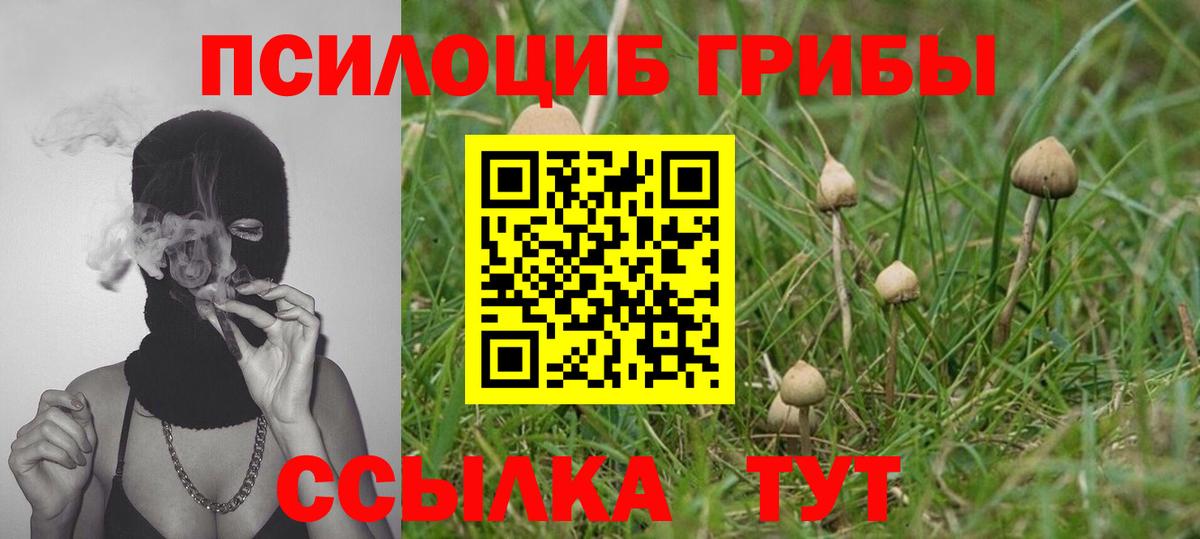 Псилоцибиновые грибы Psilocybine cubensis  Бугуруслан  Галлюциногенные грибы Psilocybe 