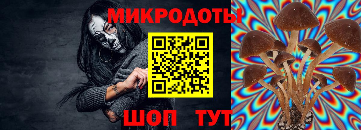 Псилоцибиновые грибы прущие грибы  Вход с VPN  как найти закладки  Псилоцибиновые грибы Psilocybe  Бугуруслан 